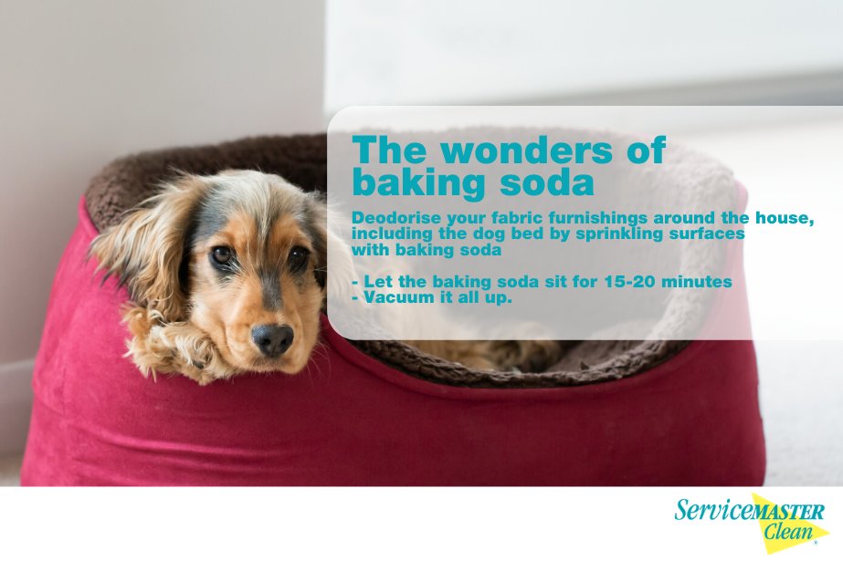 SMWesterly's tweet image. Not just for cooking! Baking Soda is sooo useful for cleaning &amp;amp; removing smelly odors! It can lower pH levels &amp;amp; neutralize substances, making harsh smells disappear! And when you need professional odor removal, we're available 24/7! #cleaning #odors #TuesdayTip