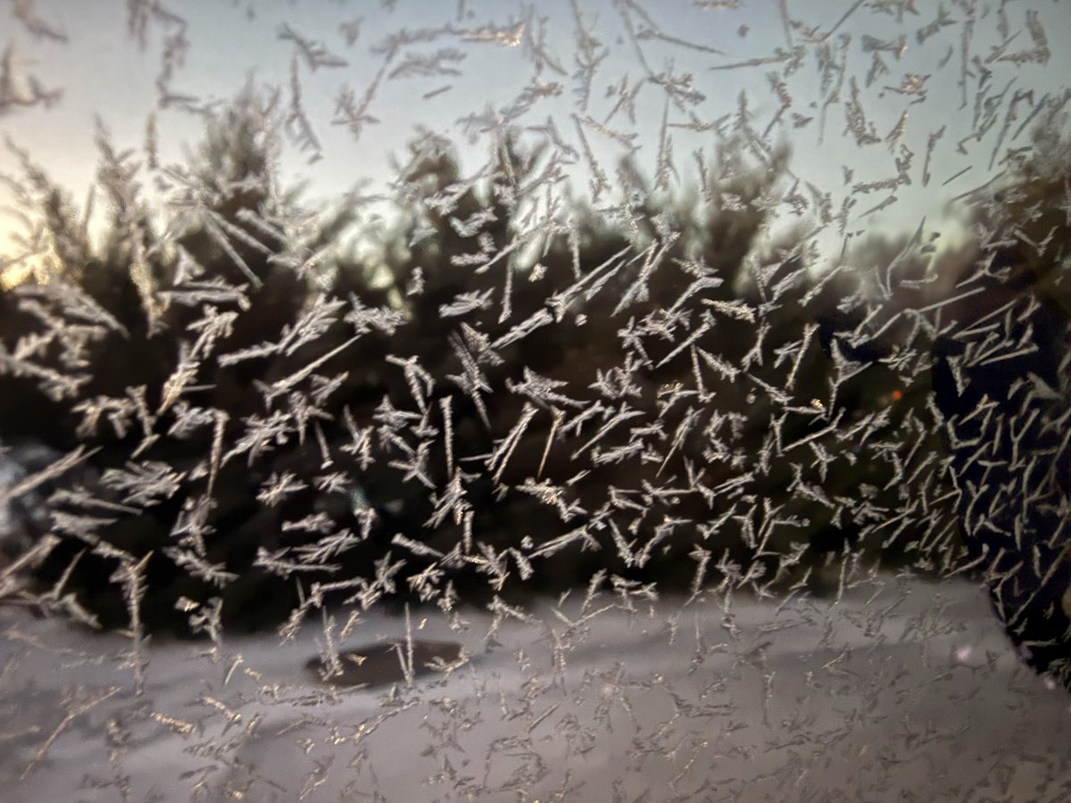 Megan Campbell tweet media