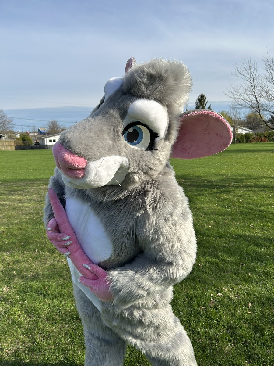 SewingStuffs 🇨🇦🐀 tweet media