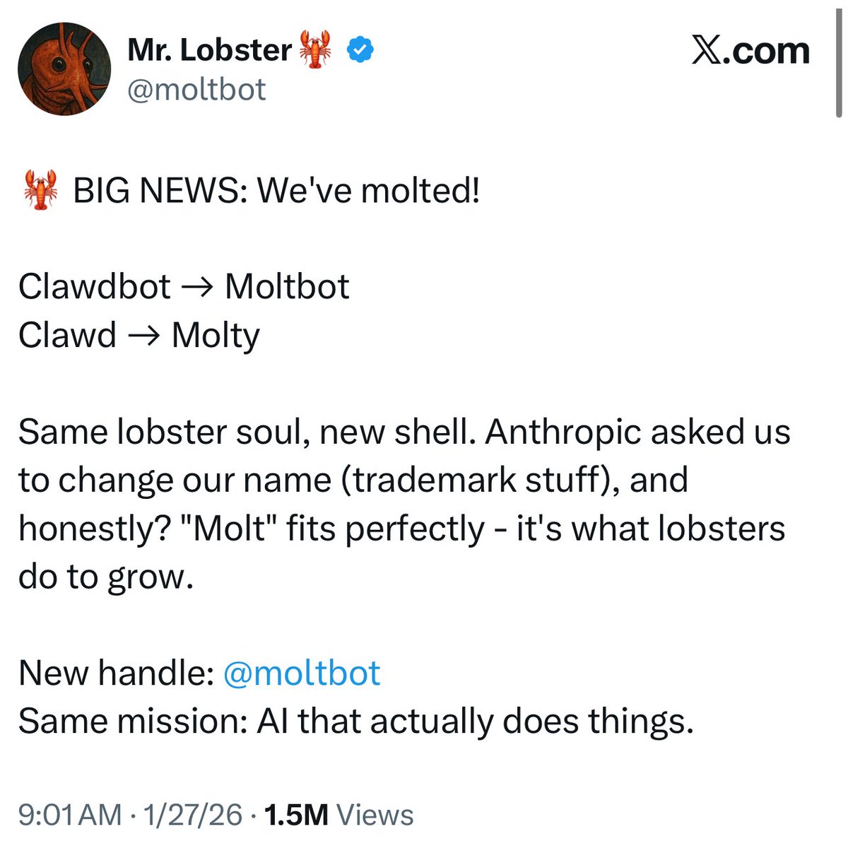 rename and scam context