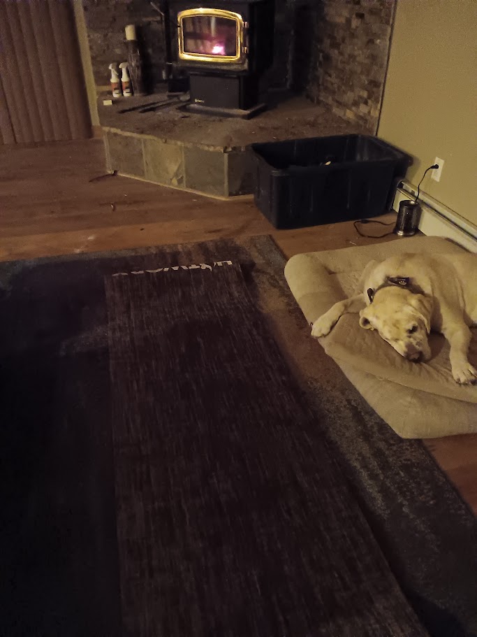 APSWellness's tweet image. Yoga flow by the 🔥with my sweet, old Bunker Boy💞
#APSmorningmotivation #buildin2026 #gentlemovement