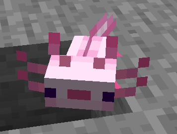 new baby axolotl model and textures
