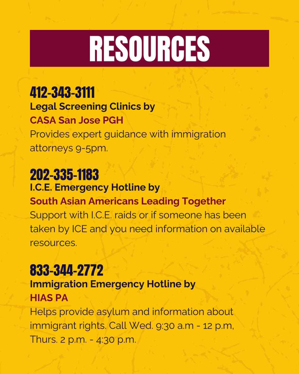 All About PA tweet media