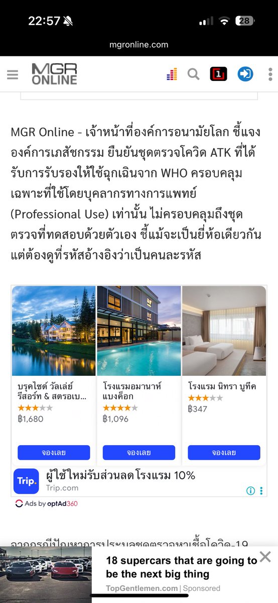 กูเป็นกระรอก tweet media
