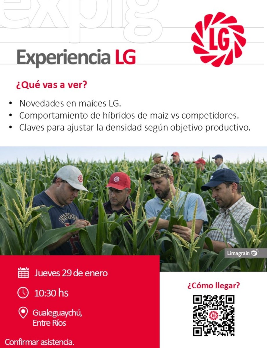 Hector Chaves tweet media