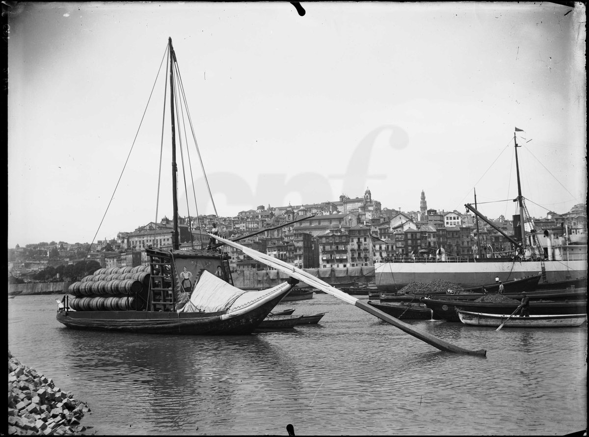Centro Português de Fotografia tweet media