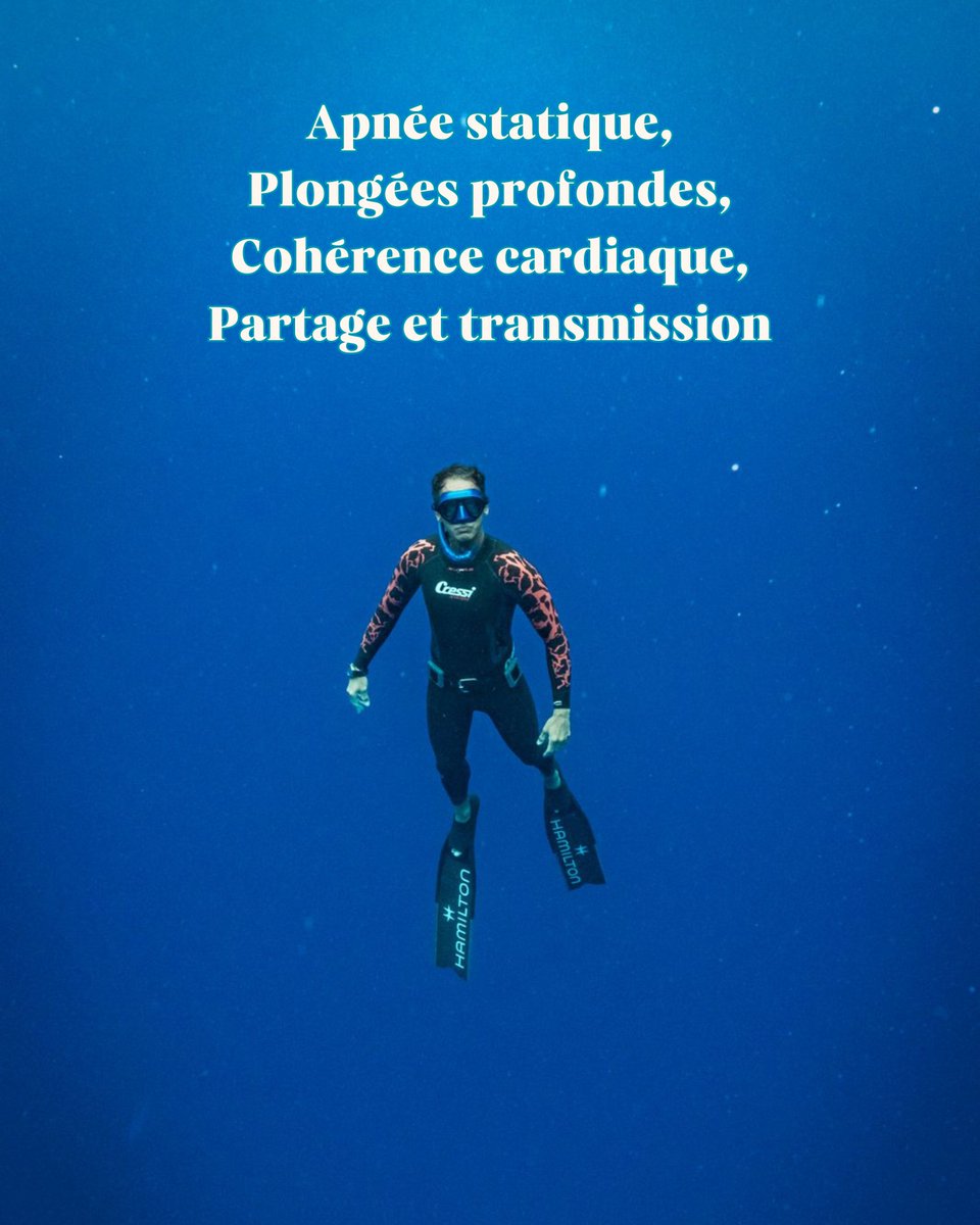 Pierre FROLLA tweet media
