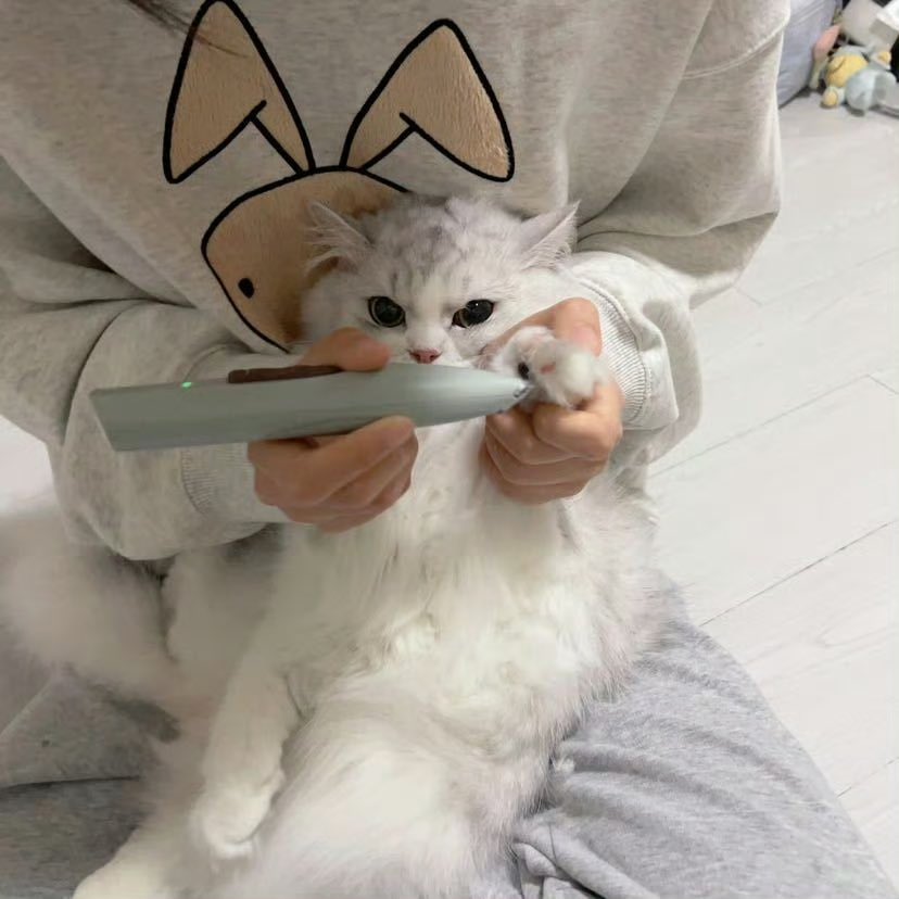 Loopyuyi's tweet photo. back to wish a happiest birthday to our first born princess budiu 👑🎂 https://t.co/SeMO1miic7