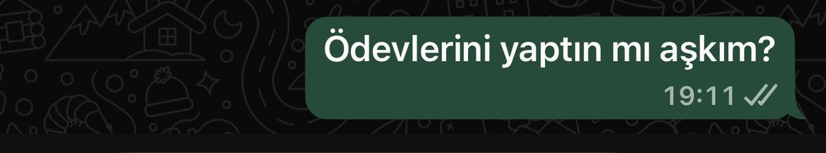 35imde kocam olacağını ve ona böyle sorular soracağımı hiç düşünmemiştim sjjdkmdkf(Ouzey Türkçe kursuna gidiyor)