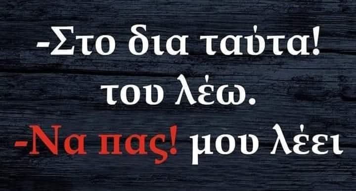 Red parrot tweet media