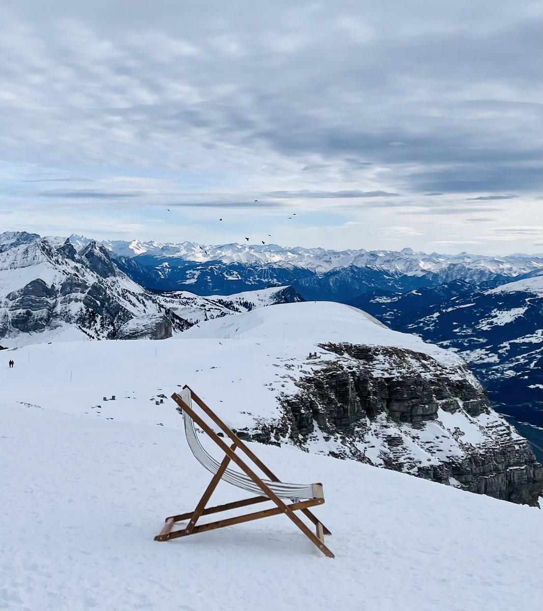 Table327's tweet image. Snow Day ❄️