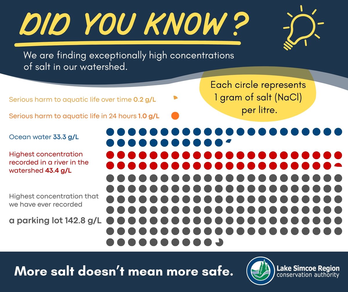 Lake Simcoe CA tweet media