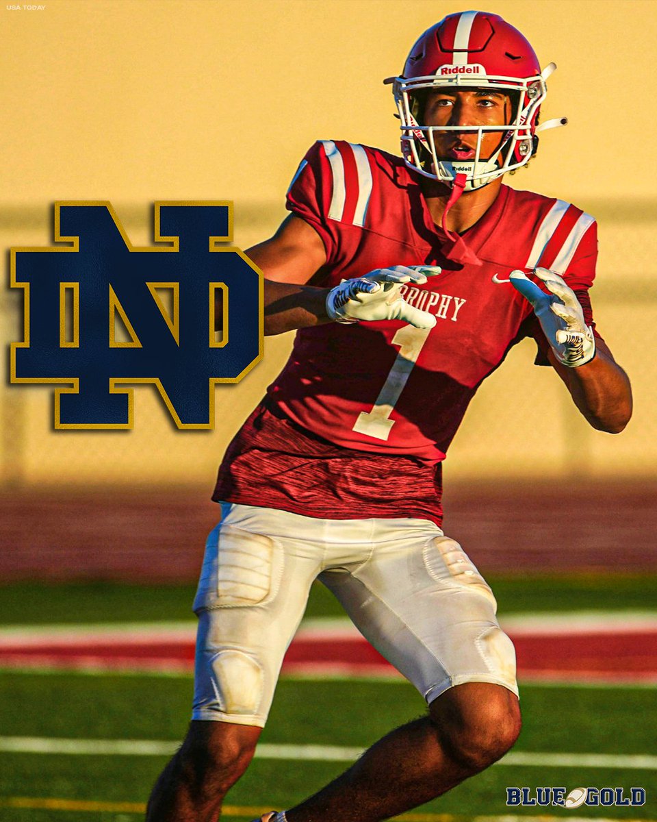 Mike Singer tweet media