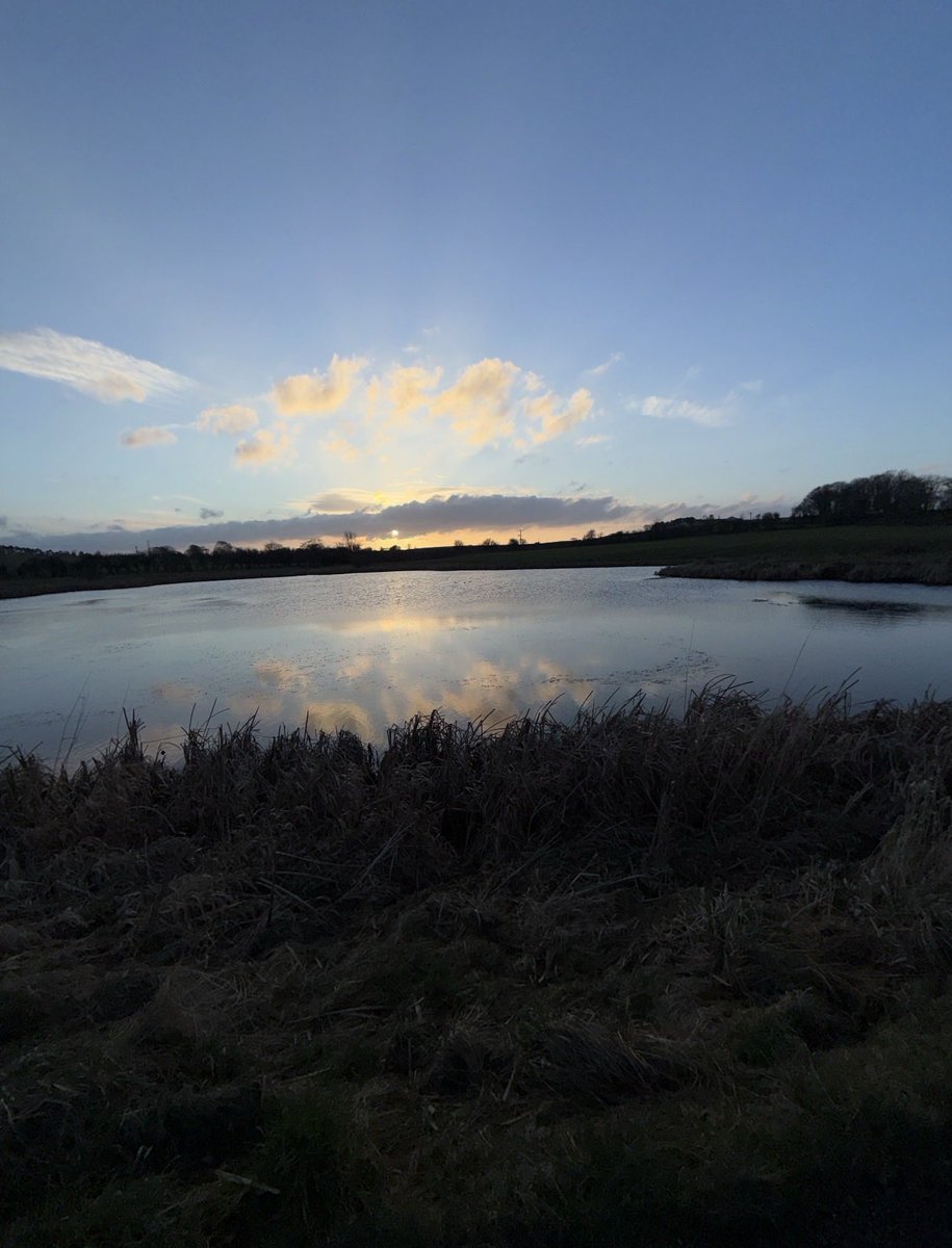 Phoenix Abbey tweet media