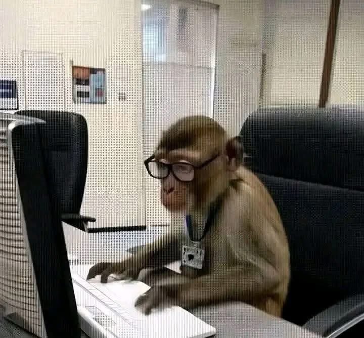 Me at work looking for another job: