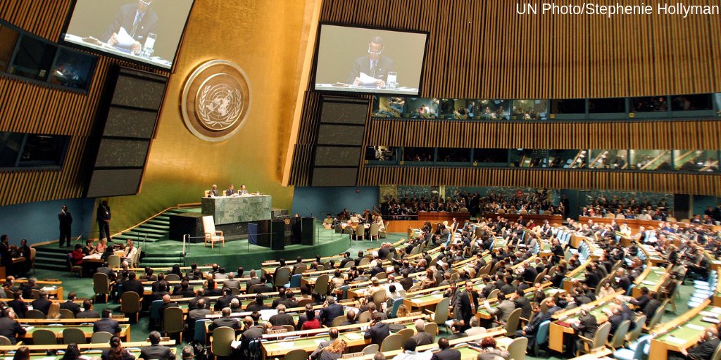 UN Library tweet media