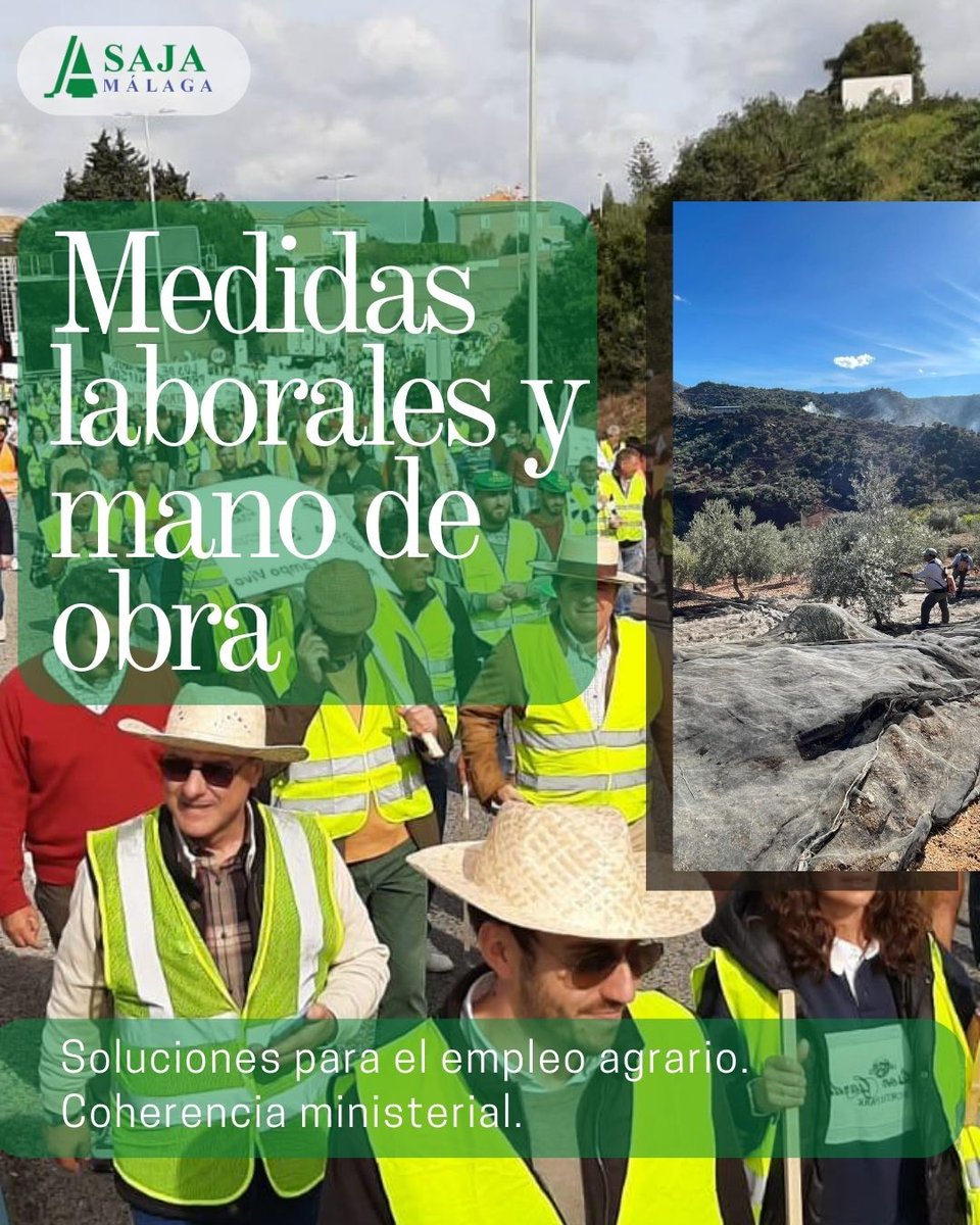 AsajaMalaga's tweet photo. 💧 Sin agua no hay alimentos. Exigimos infraestructuras, costes justos y soluciones laborales reales.🗓️ 29 de ENERO
📍 Subdelegación del Gobierno #Málaga (Paseo de Sancha, 64)
⏰ 11:00h¡Es el momento de defender lo nuestro! Pasadlo. (2/2) https://t.co/CoPXSJ6KmQ