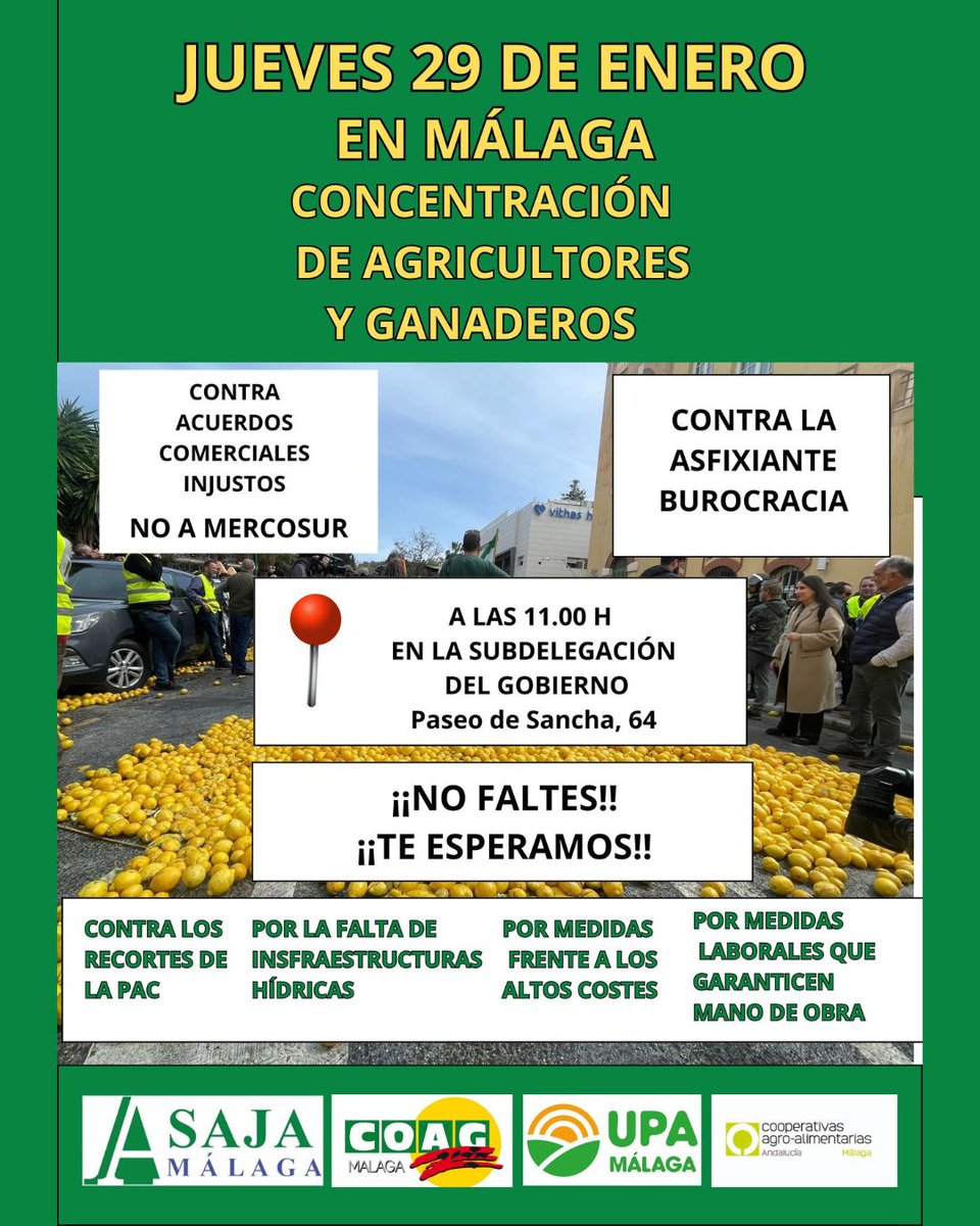 AsajaMalaga's tweet photo. 💧 Sin agua no hay alimentos. Exigimos infraestructuras, costes justos y soluciones laborales reales.🗓️ 29 de ENERO
📍 Subdelegación del Gobierno #Málaga (Paseo de Sancha, 64)
⏰ 11:00h¡Es el momento de defender lo nuestro! Pasadlo. (2/2) https://t.co/CoPXSJ6KmQ
