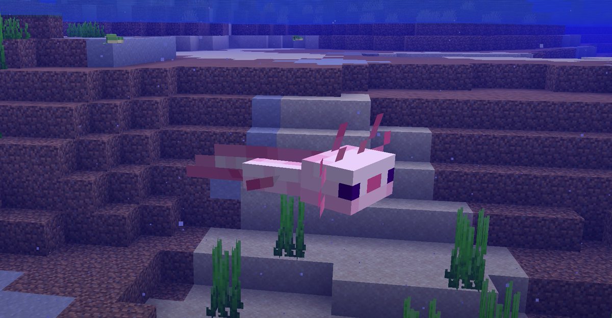 BobicraftMC's tweet photo. ✨ Minecraft 26.1 Snapshot 5 ✨

🐢 NUEVIS BEBÉS:
Delfín, Calamar, Calamar brillante, Tortuga, Ajolote! https://t.co/1EukcvZfCI
