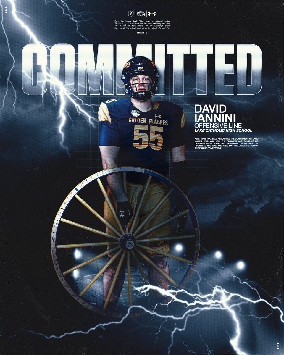 David Iannini tweet media