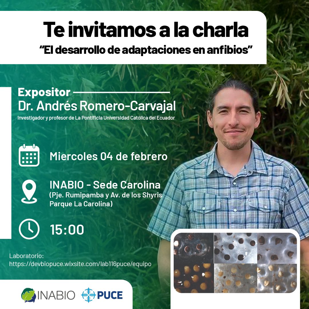🐸Te invitamos a la charla: "El desarrollo de adaptaciones en anfibios",  dictada por el Dr. Andrés Romero-Carvajal, investigador de la <a href="/PUCE_Ecuador/">PUCE Ecuador</a>.

🗓️Miércoles 04 de febrero
📌INABIO-Sede Carolina
⏰15:00

¡Te esperamos!