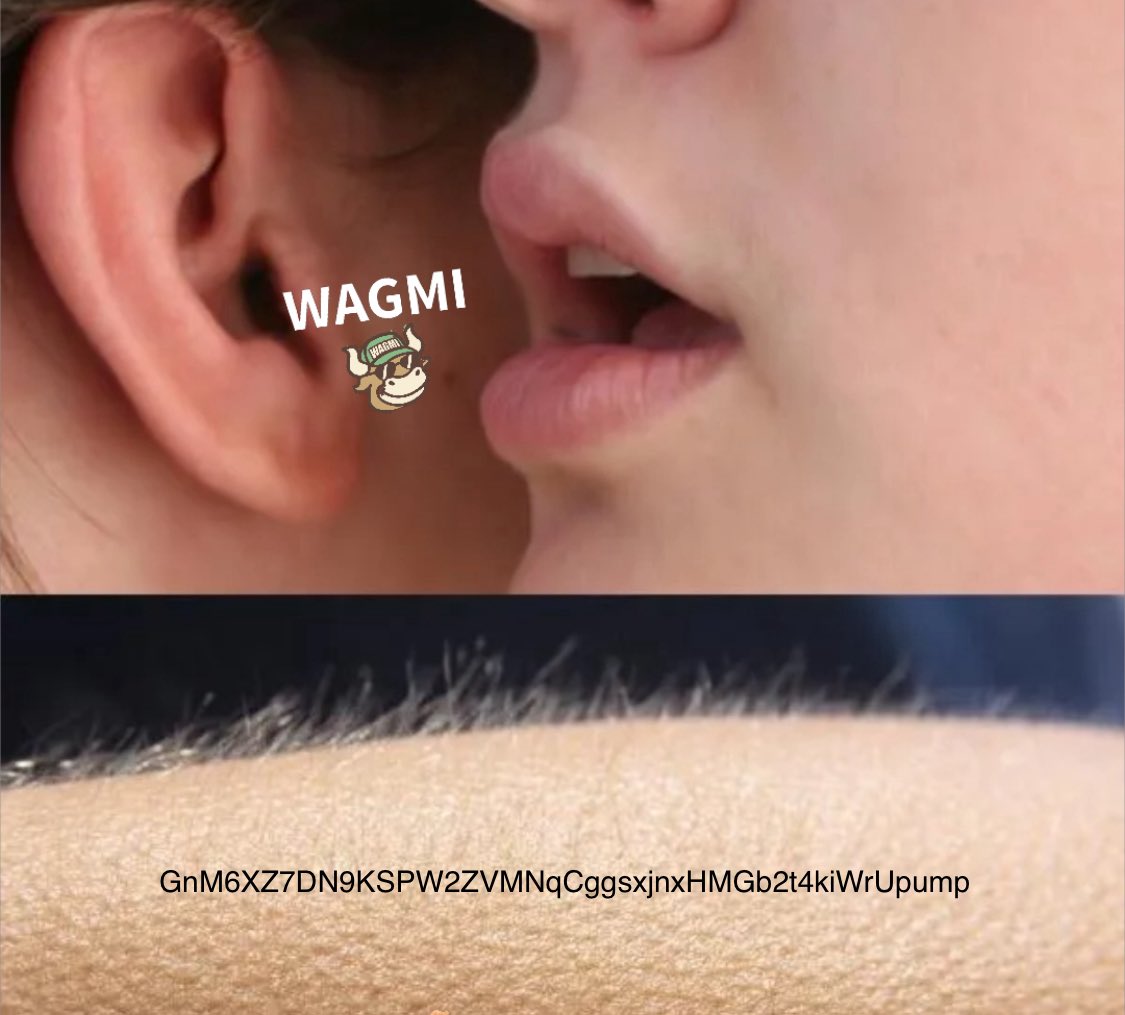 kevWAGMIcapital's tweet image. 