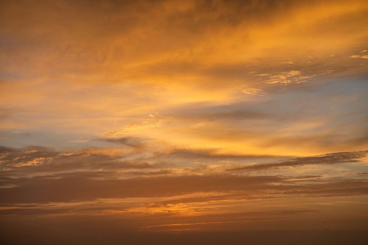 seraphicxc's tweet image. Golden Hour