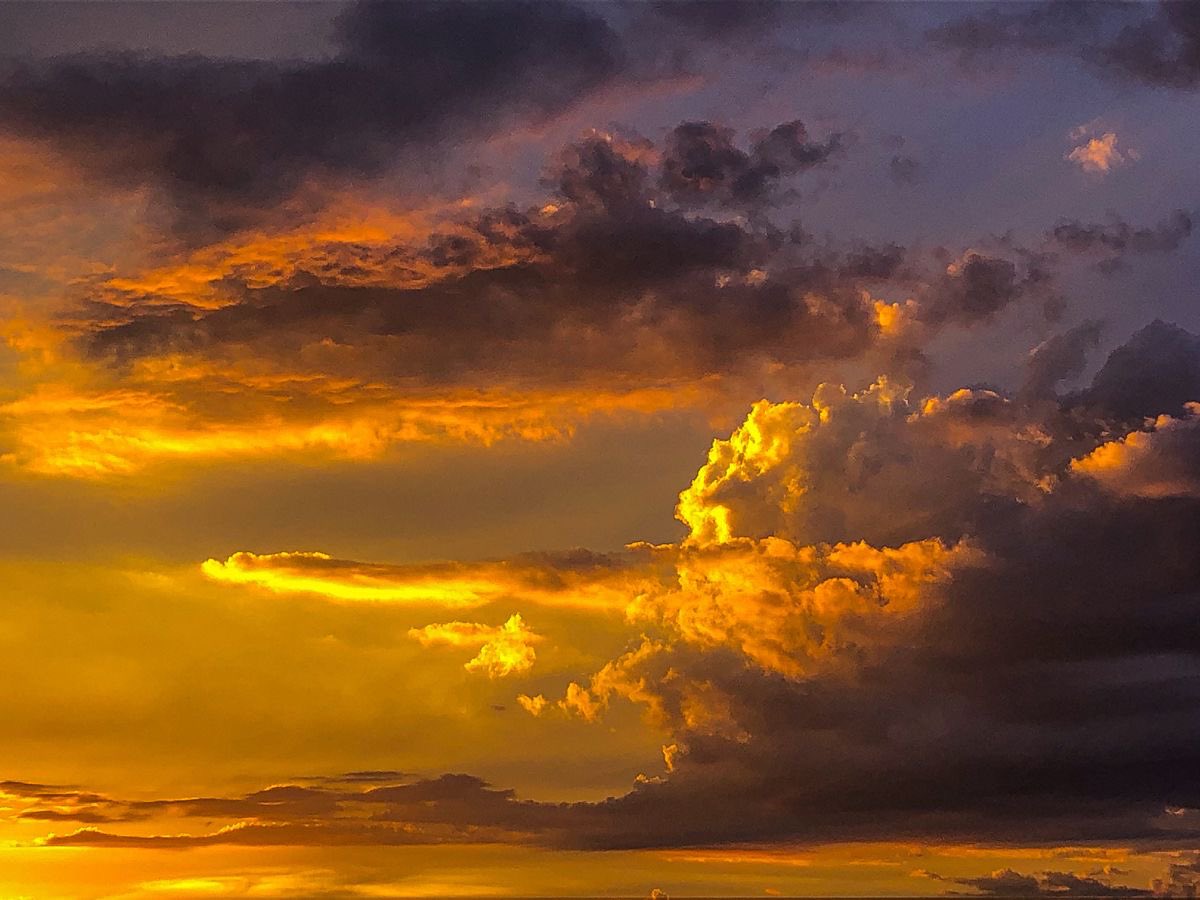 seraphicxc's tweet image. Golden Hour