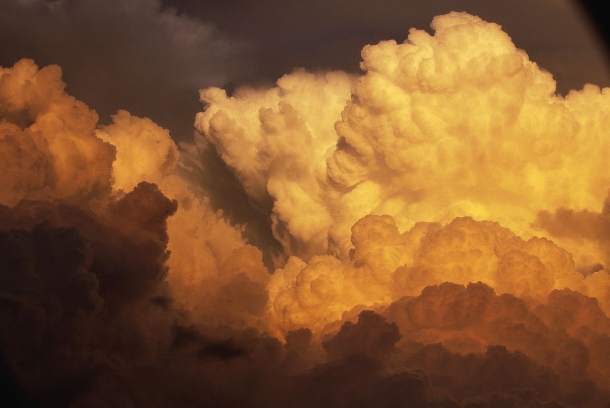 seraphicxc's tweet image. Golden Hour