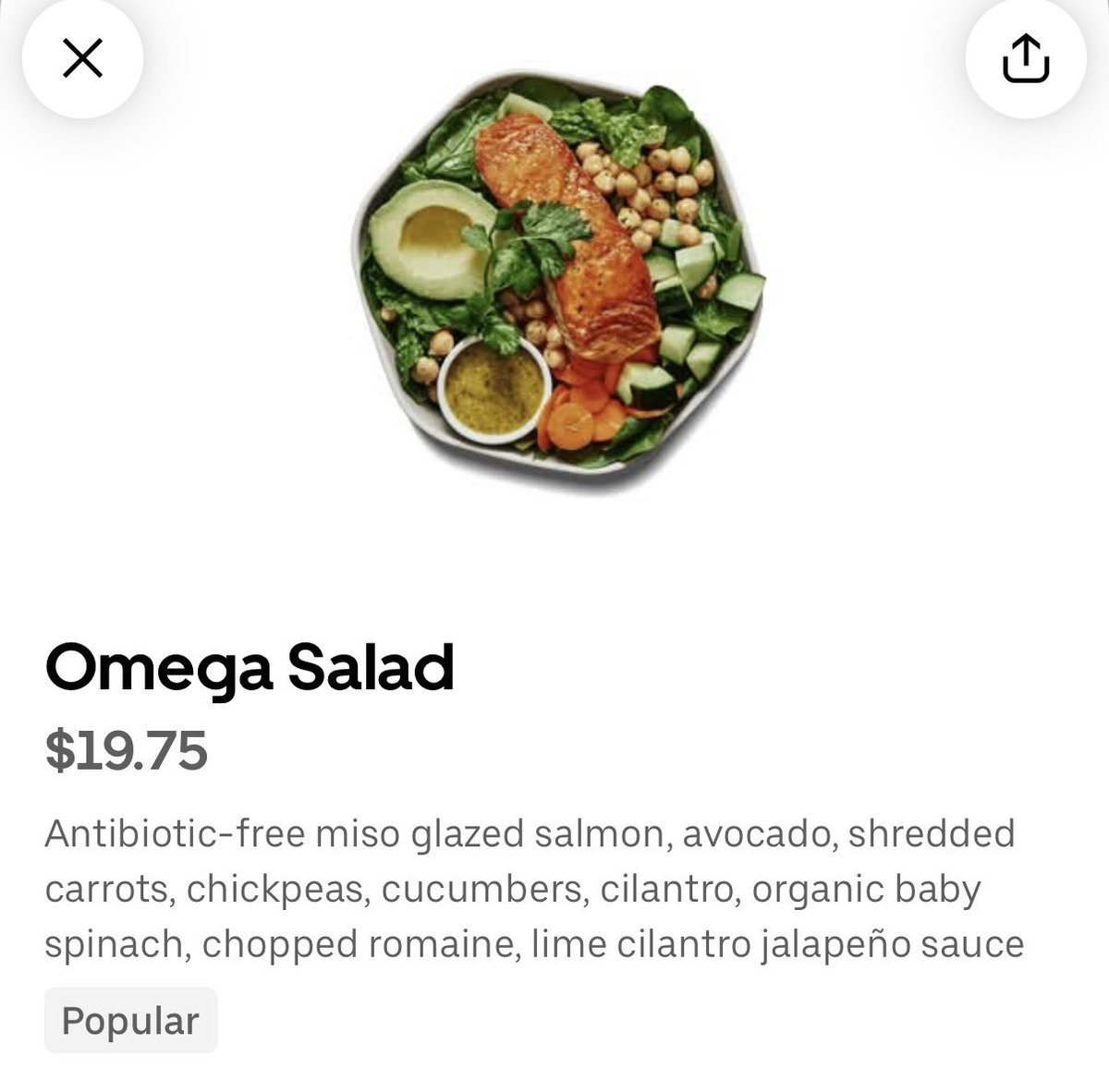 oh my god they turned shane hollander into a salad 😭😭😭😭😭😭😭