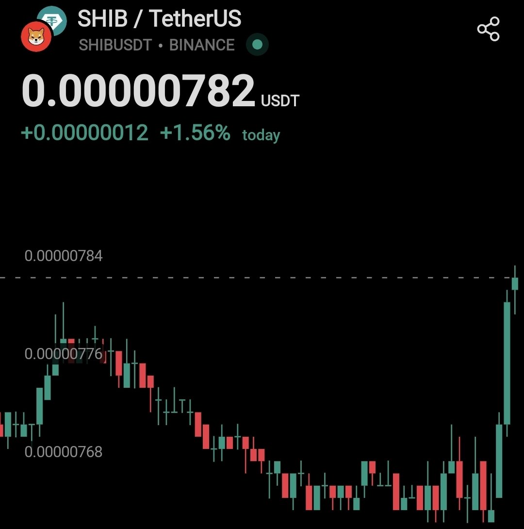 SHIB KNIGHT (@army_shiba) / Posts / X