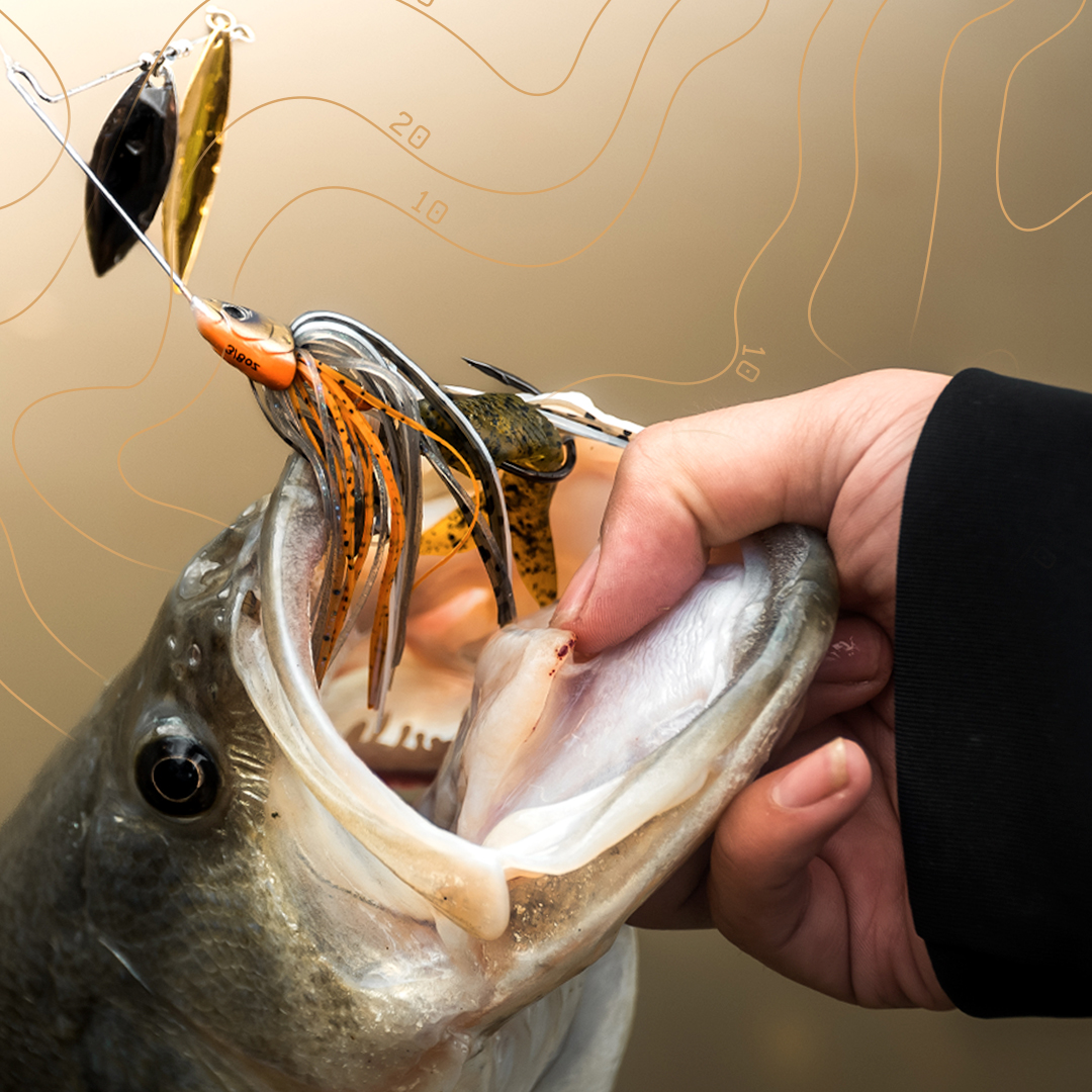FishLabTackle's tweet image. Fish Smarter with FishLab and Bass Forecast

Whether you’re planning a weekend trip or sneaking in a quick evening session, Bass Forecast gives you a game plan before you even hit the water. Less guesswork

Check it out now at fishlabtackle.com/pages/bass-for…

#FishLabTackle #BassForecast