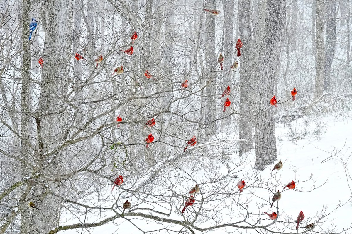 Sometimes the best thing to do when you don’t know what to do is to stop doing what you are doing and just be … be with the Lord. Be still. Be willing. Be quiet. Be faithful. Just be. “…in quietness and trust is your strength” (Isaiah 30:15).