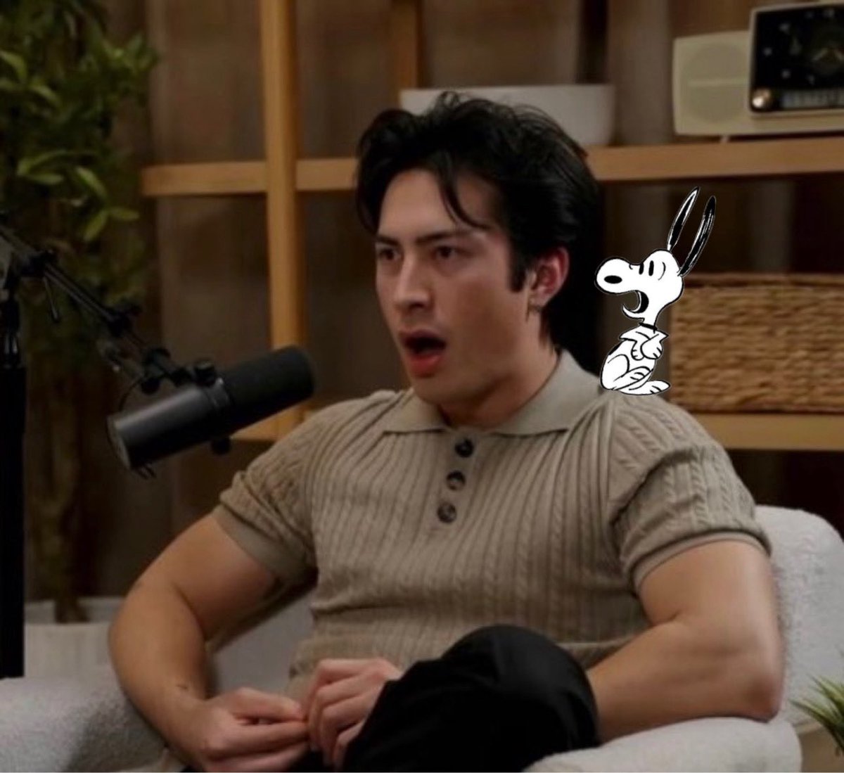 starozanov's tweet image. I love my hudsnoopy☹️