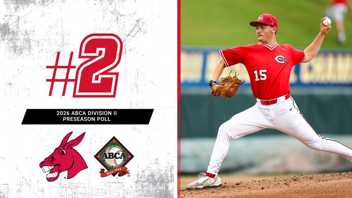 Roll Stable tweet media