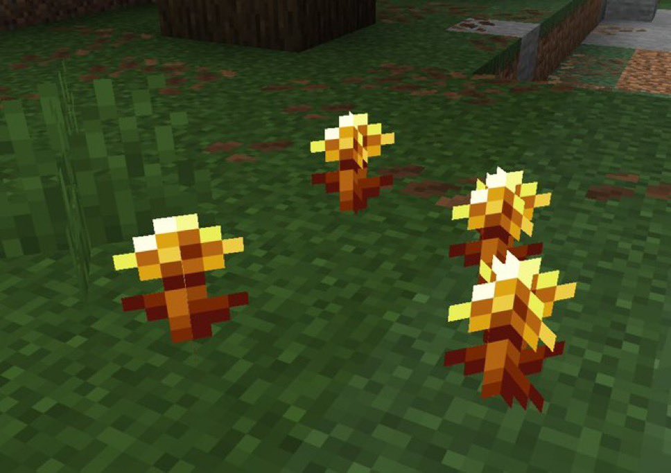 ComunidadeMc tweet media