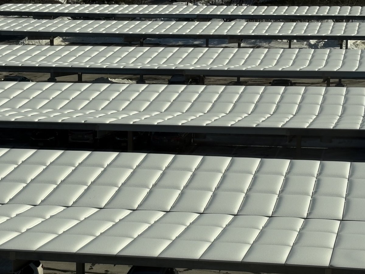 Joe Bisicchia tweet media