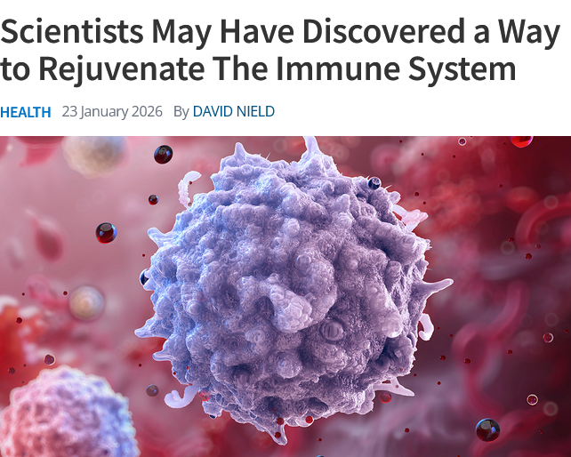 LEV is near

Massive anti aging discoveries are now arriving weekly. The pace is accelerating.

Scientists may have found a way to rejuvenate the aging immune system, and early results are wildly promising.   

A team from MIT and the Broad Institute figured out how to reprogram