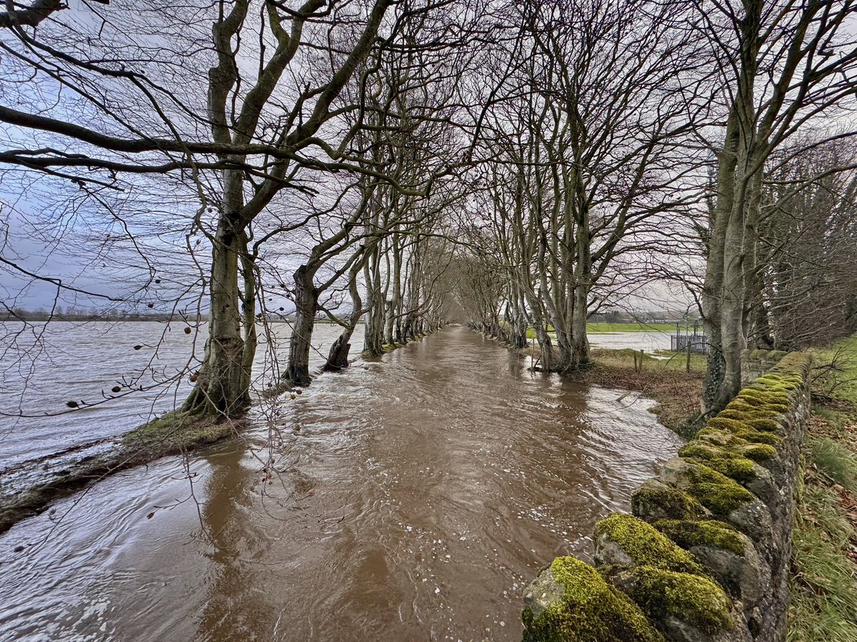 Edel Mairs tweet media