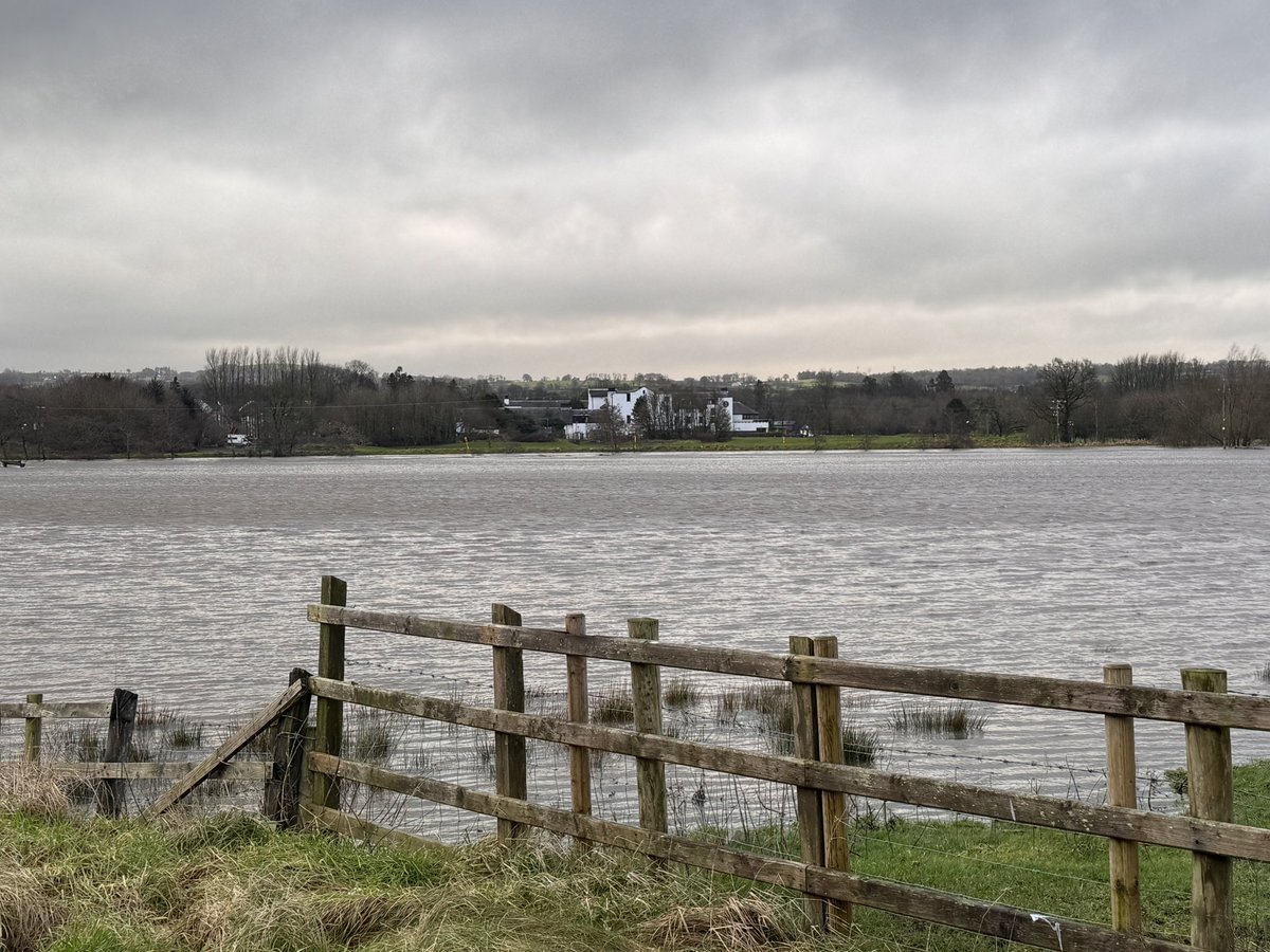 Edel Mairs tweet media