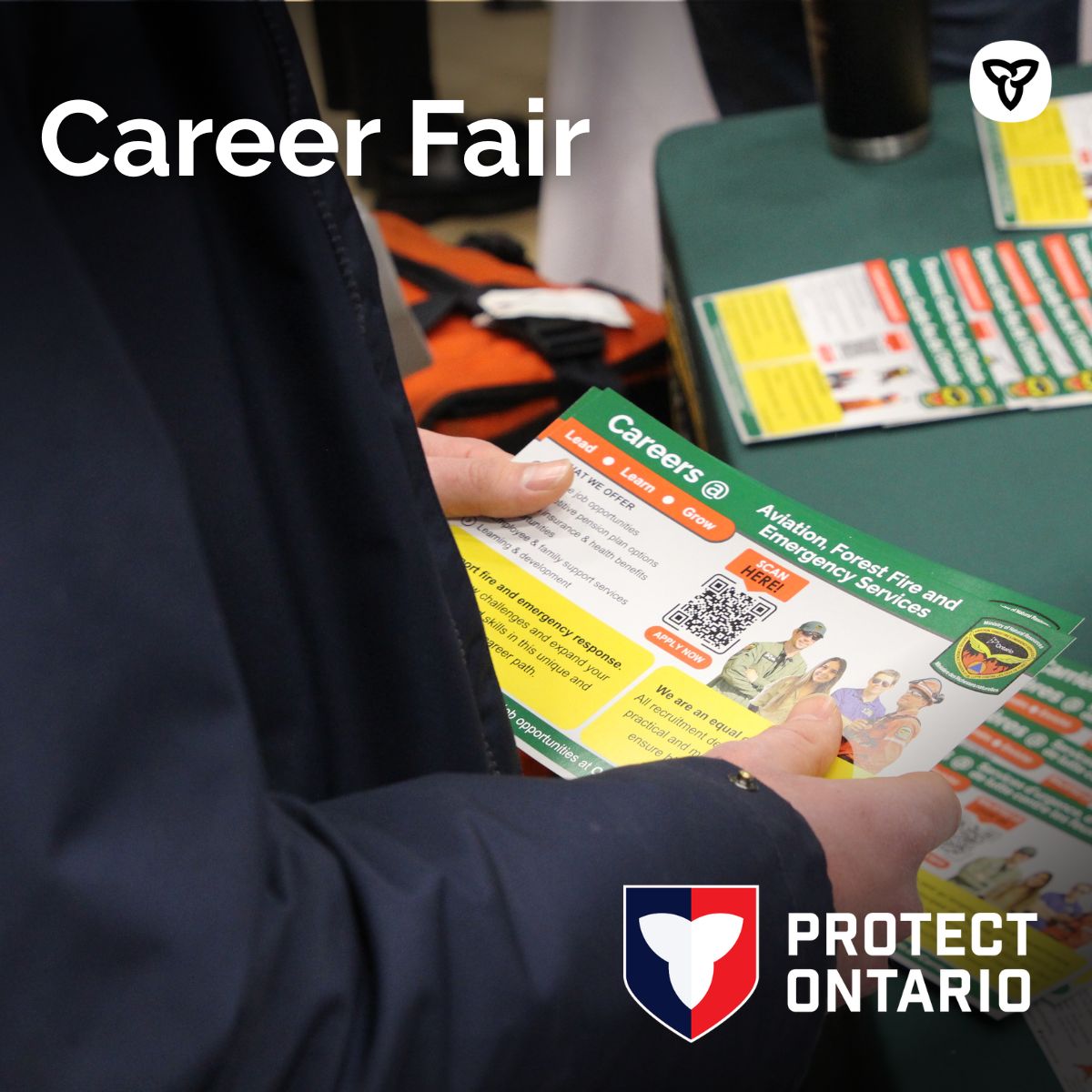 Ontario Forest Fires tweet media