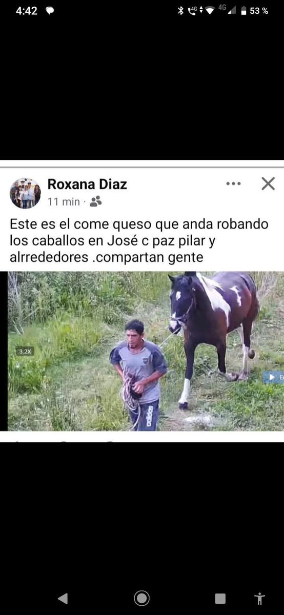 Tabyta201's tweet photo. 😡ESTE INFRAHUMANO HDRMP ROBA CABALLOS. DENUNCIEN!!! https://t.co/T2lE4GNLWu