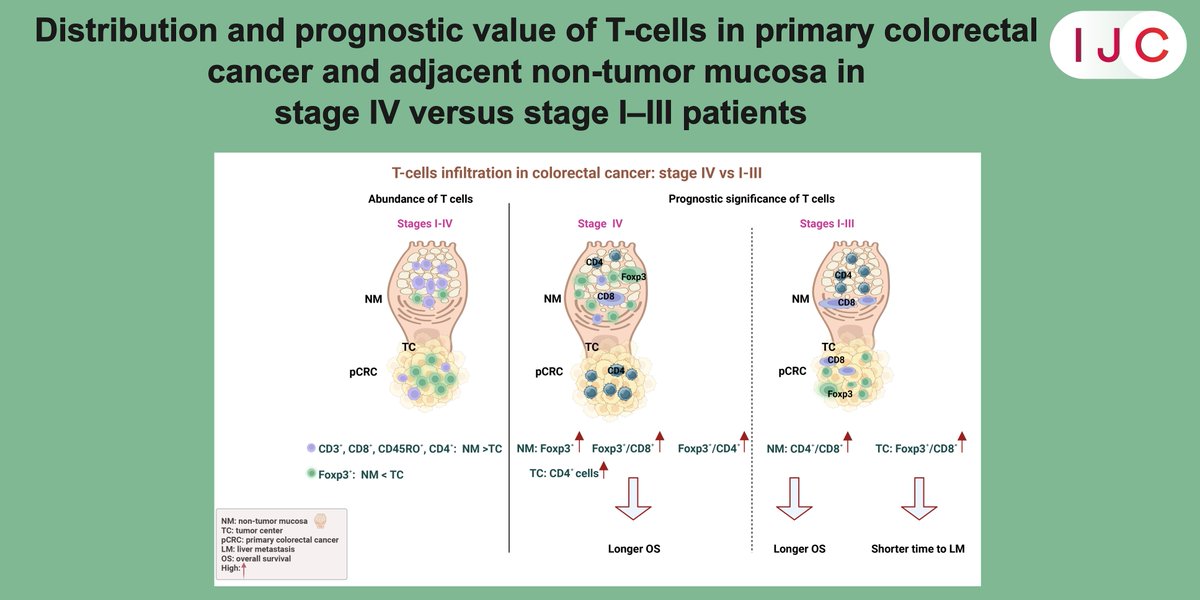 International Journal of Cancer tweet media