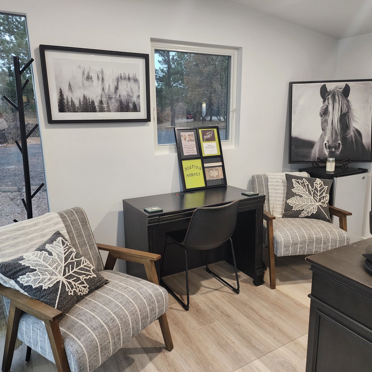 Studio Shed tweet media