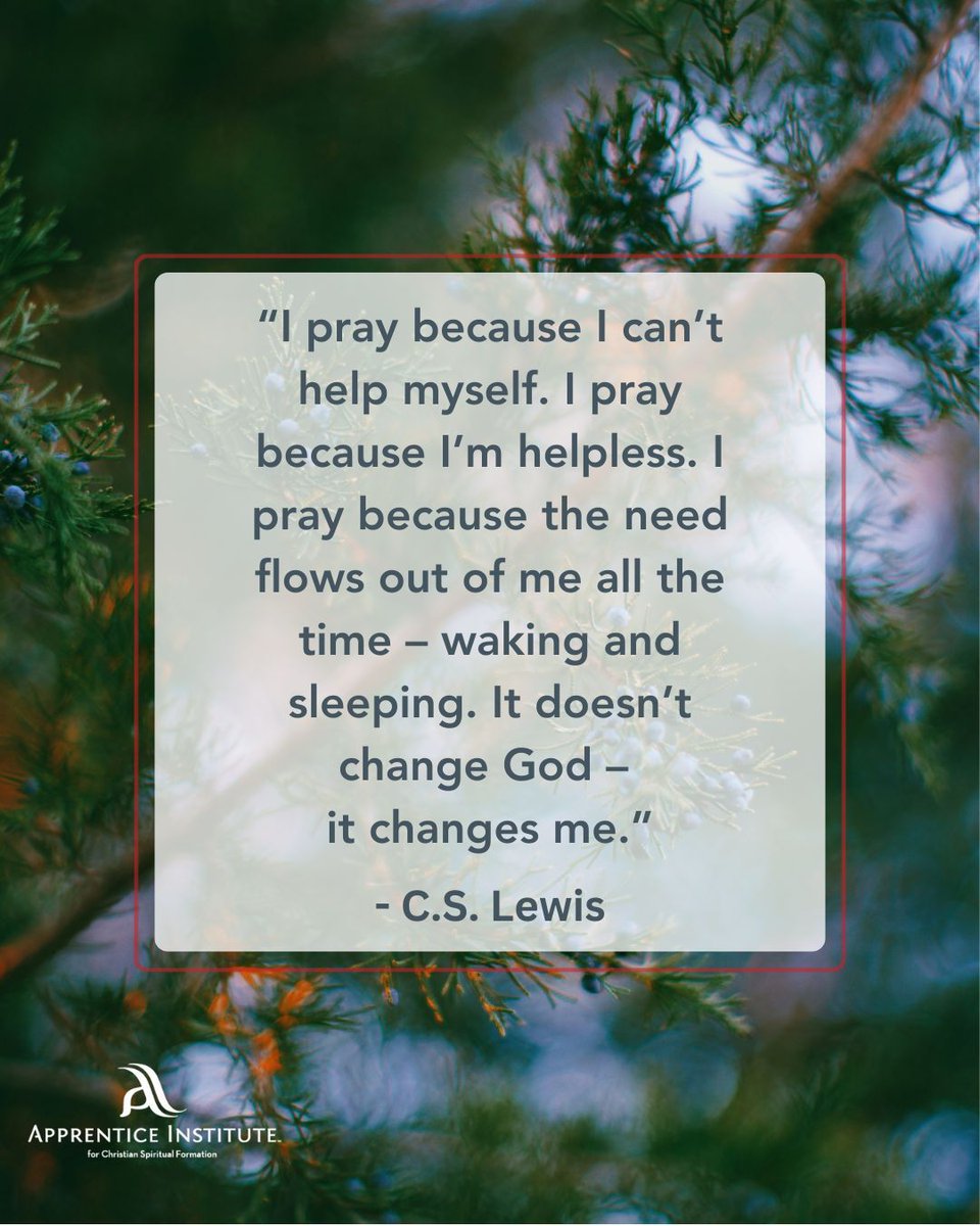 Apprentice Institute tweet media