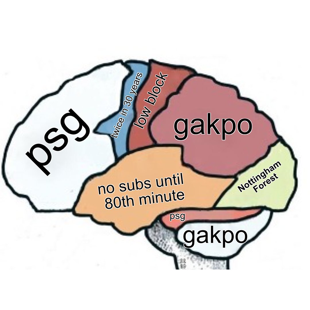 AnfieldRd96's tweet image. Actual image of Slot’s brain.