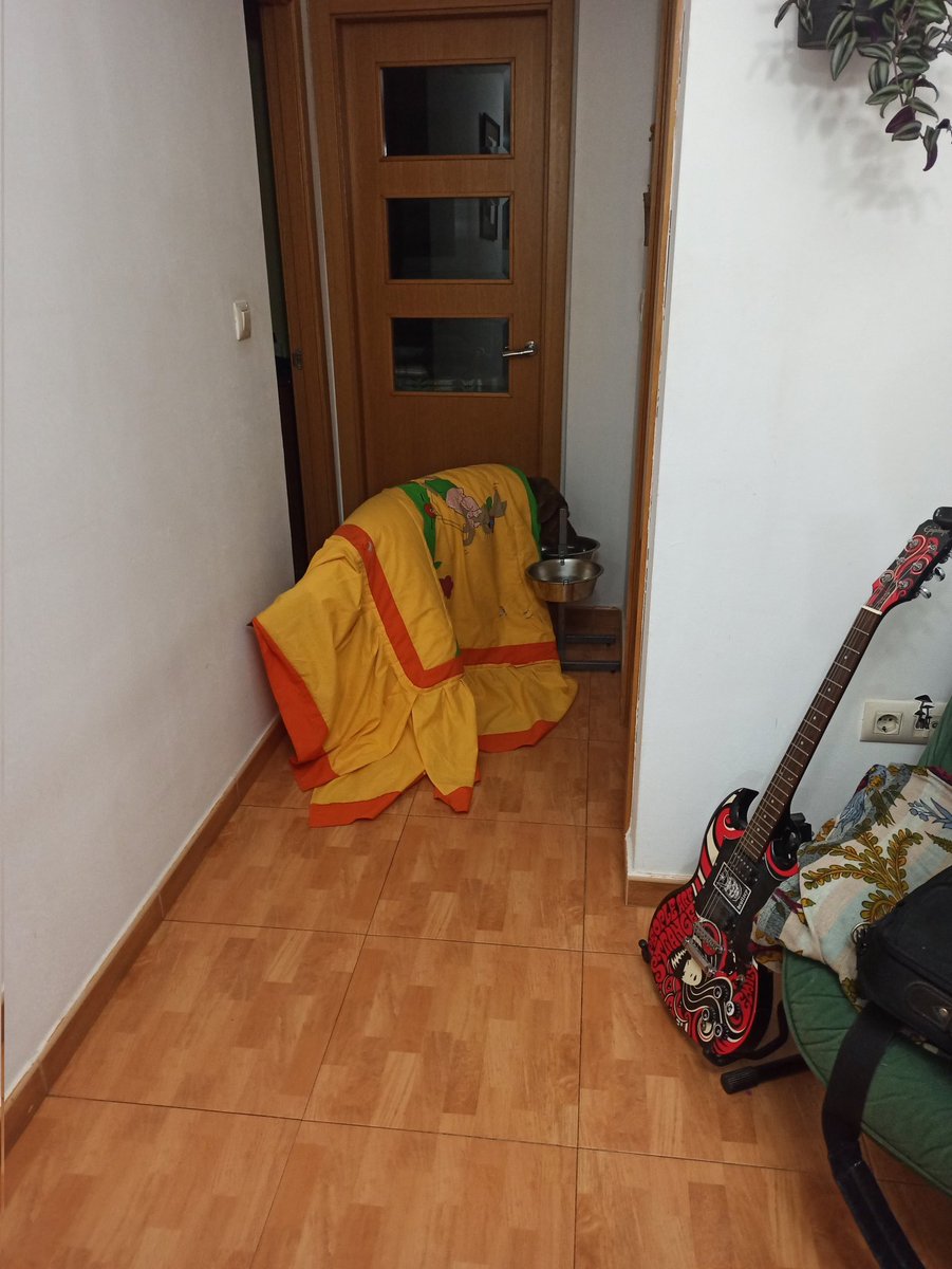 Jack esta mañana :_)