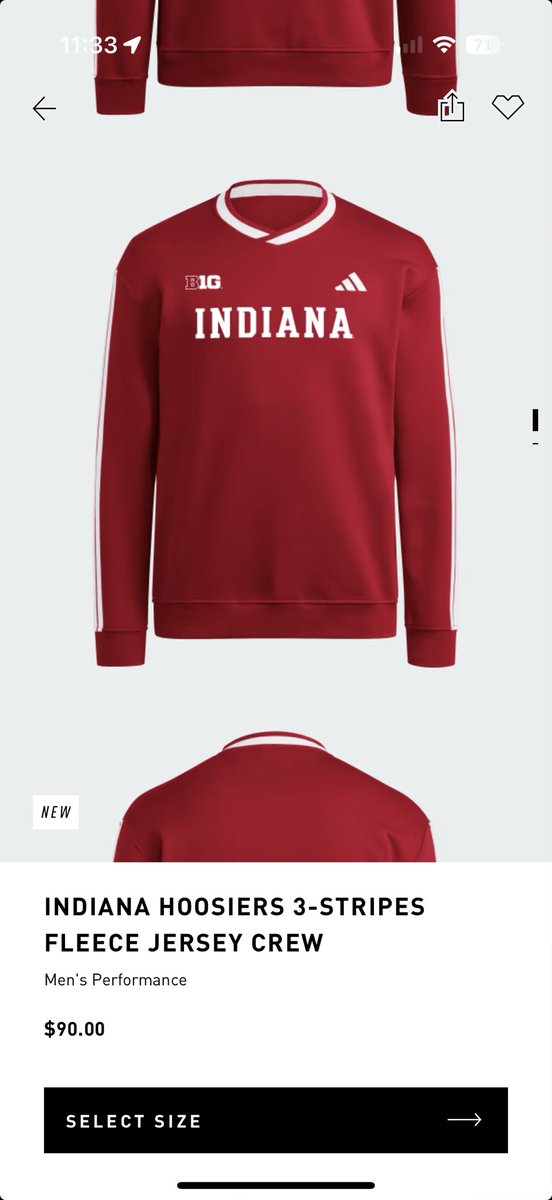 Morgan Webster tweet media