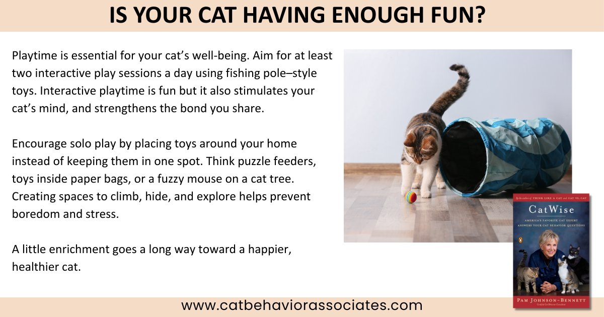 Cats may look like they sleep all day, but fun and enrichment are essential to their health and happiness. A little intentional play can prevent boredom, reduce stress, and help your cat thrive.
