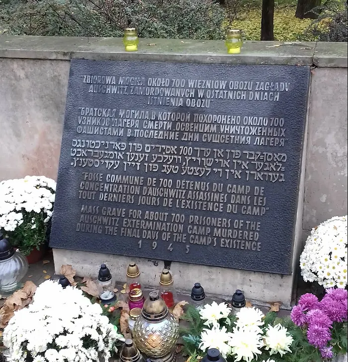 Shmuli Evers tweet media